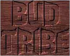 logo Bud Tribe